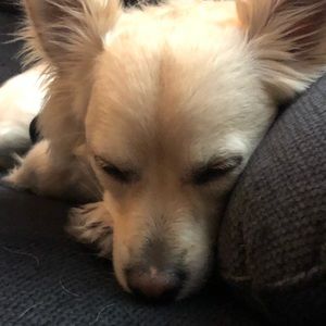 Meet your Posher, Mike